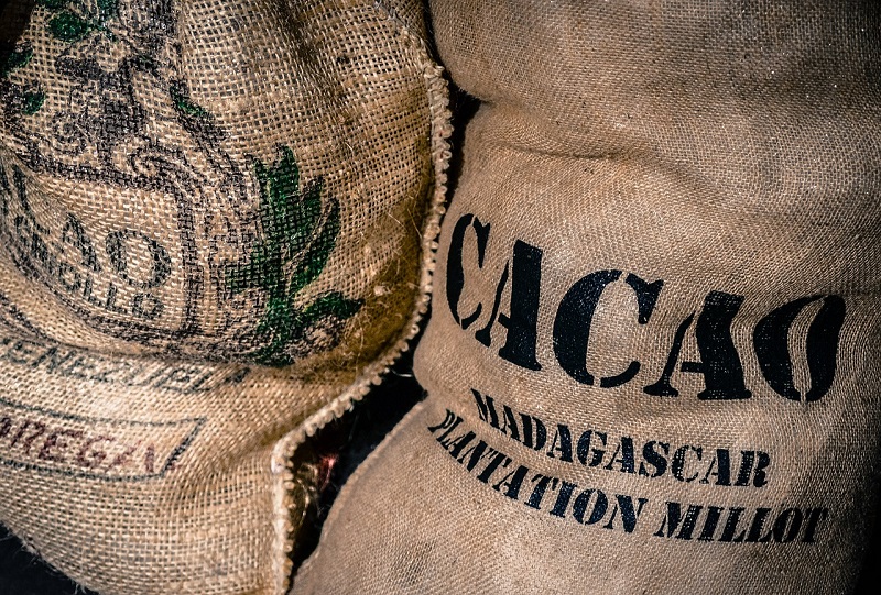 Is Cacao Vegan? (& Is Cocoa Vegan?)